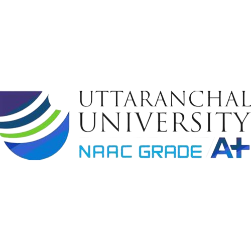 Partner University 11